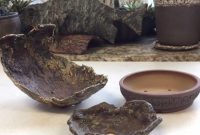 pot bonsai unik pot bonsai unik