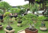 Taman Bonsai