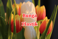Bunga Plastik Bunga Plastik